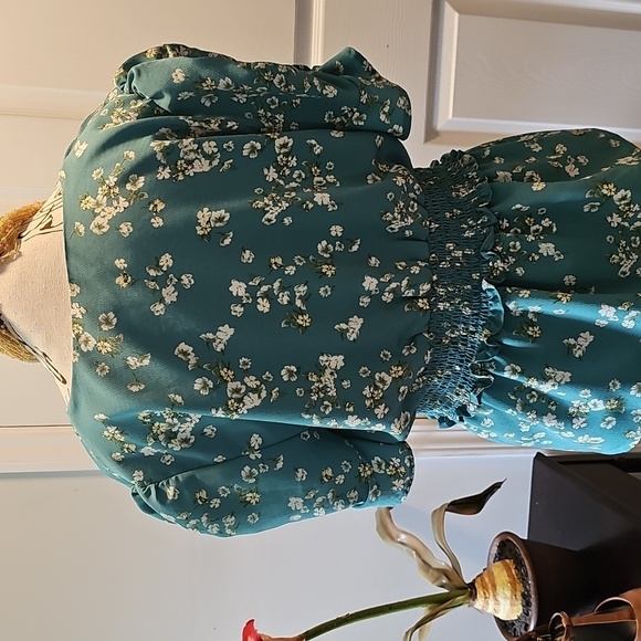 Rabbit Rose Floral Puff Sleeve Blouse, Smocked Waist, V-Neck, Women's Size Large - Picture 6 of 11